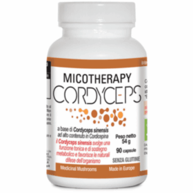 CORDYCEPS AVD REFORM 90 CAPSULE